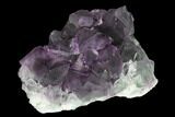 Purple-Green Octahedral Fluorite Crystal Cluster - Fluorescent! #149666-1